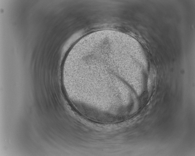 X0000069830006200606021348