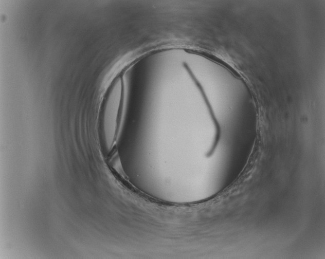 X0000069830007200606021348