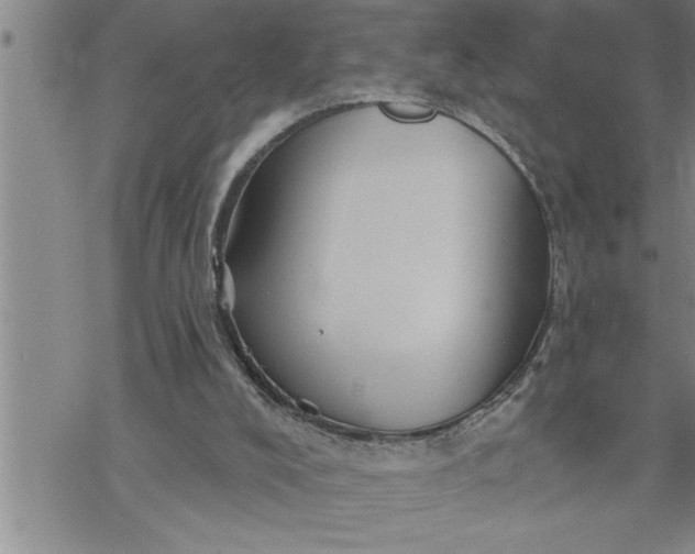 X0000069830008200606021348