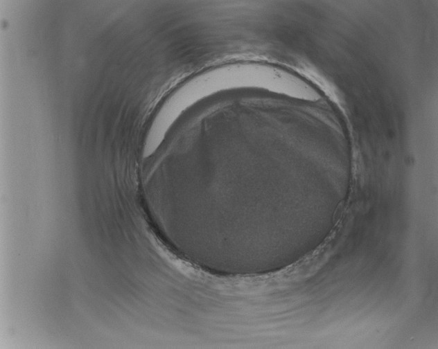 X0000069830009200606021348