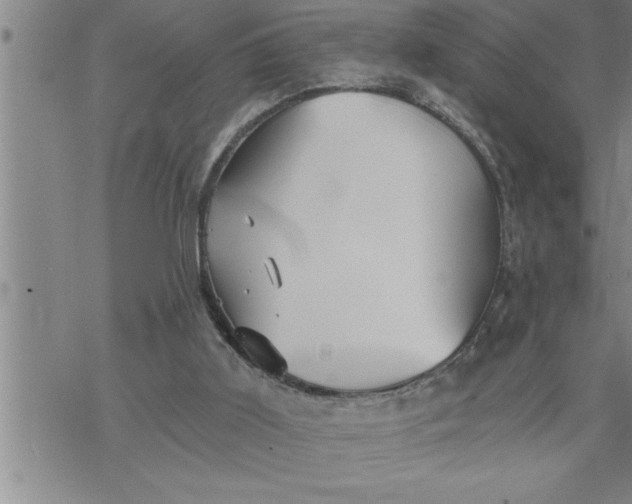 X0000069830011200606021348