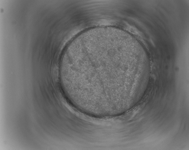 X0000069830012200606021348