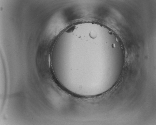 X0000069830013200606021348