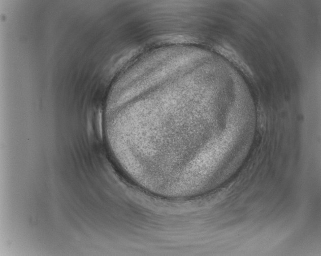 X0000069830014200606021348