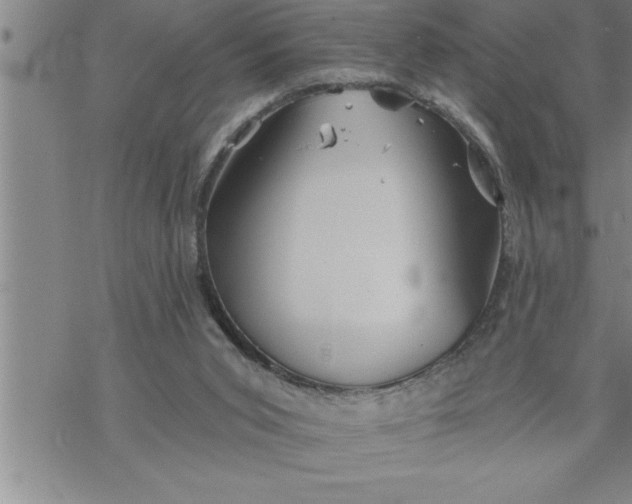 X0000069830015200606021348