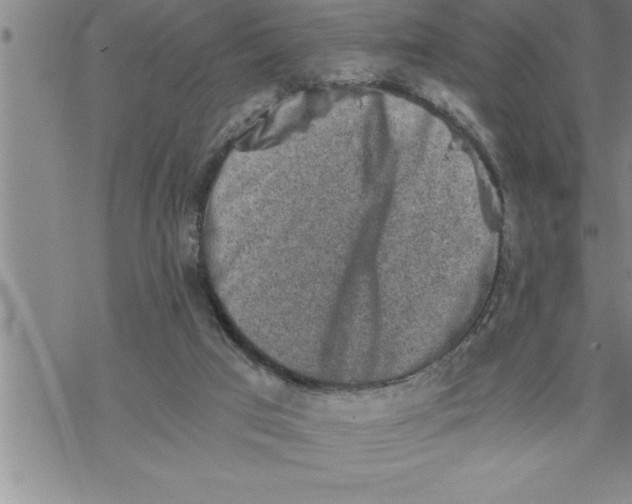 X0000069830017200606021348