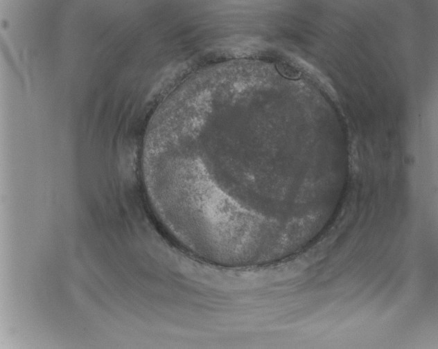 X0000069830018200606021348