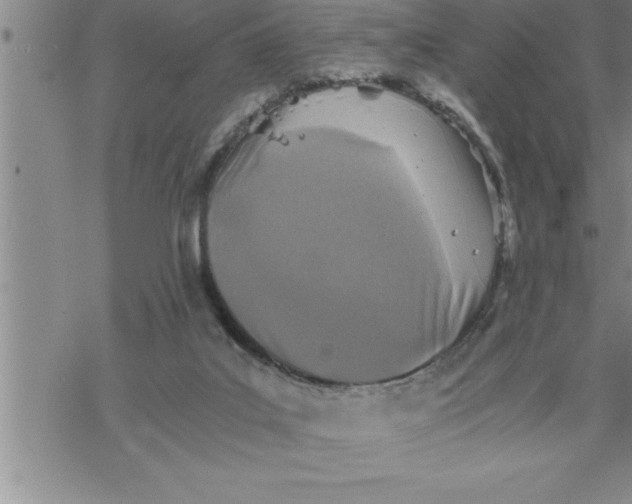 X0000069830019200606021348