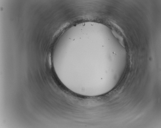 X0000069830020200606021348