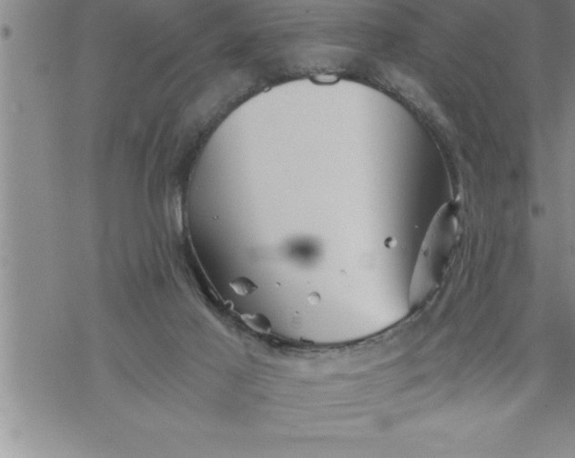 X0000069830021200606021348