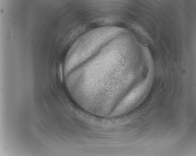 X0000069830022200606021348