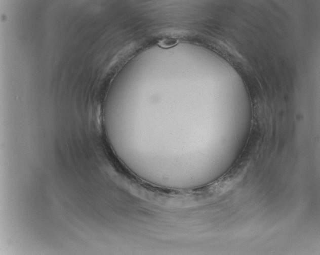 X0000069830024200606021348