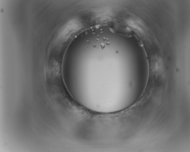 X0000069830025200606021348