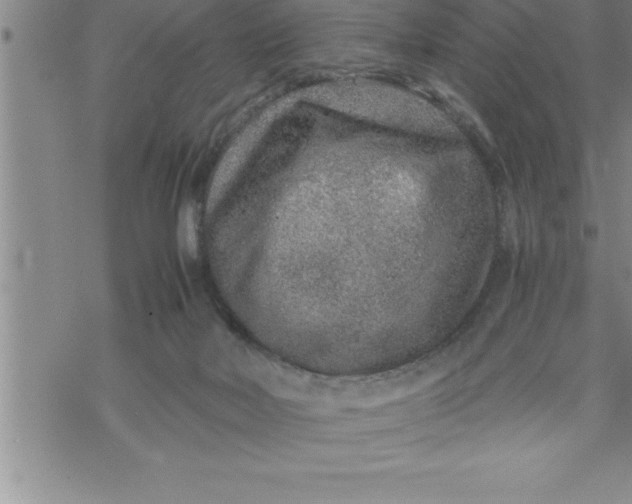 X0000069830026200606021347