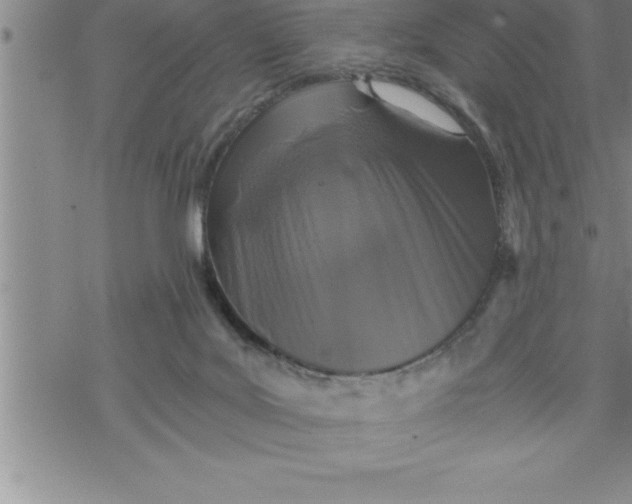 X0000069830027200606021347