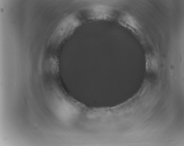 X0000069830029200606021347