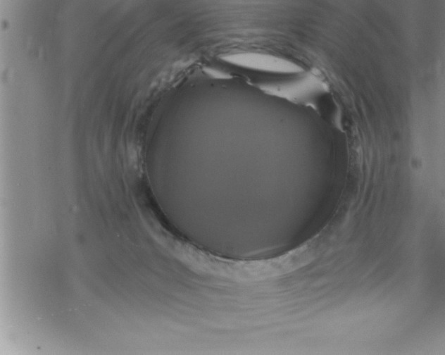 X0000069830031200606021347