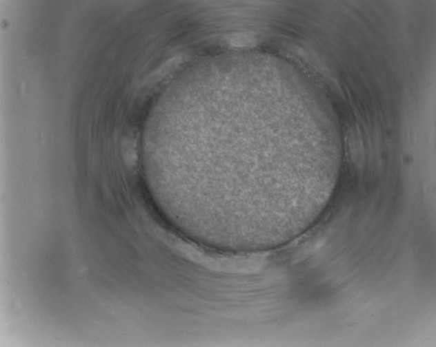 X0000069830032200606021347