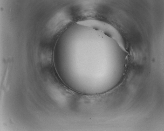 X0000069830033200606021347