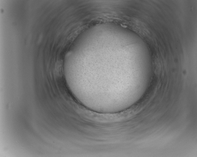 X0000069830034200606021347