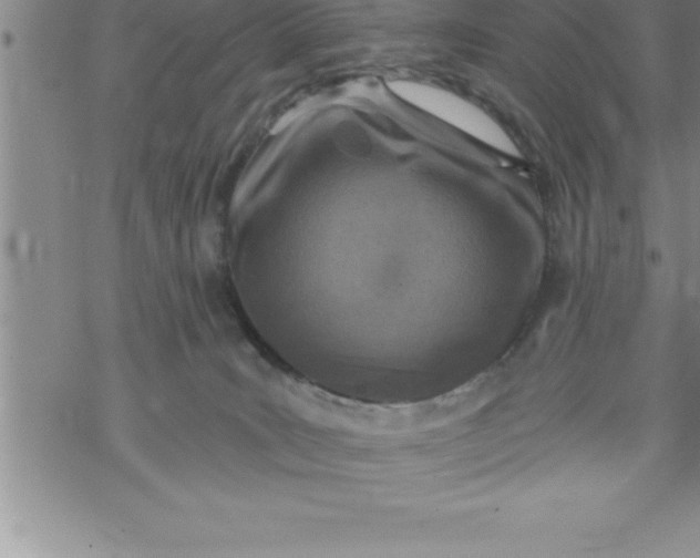 X0000069830035200606021347