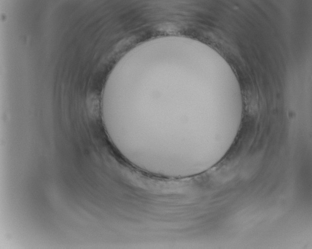 X0000069830036200606021347