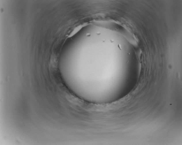 X0000069830037200606021347