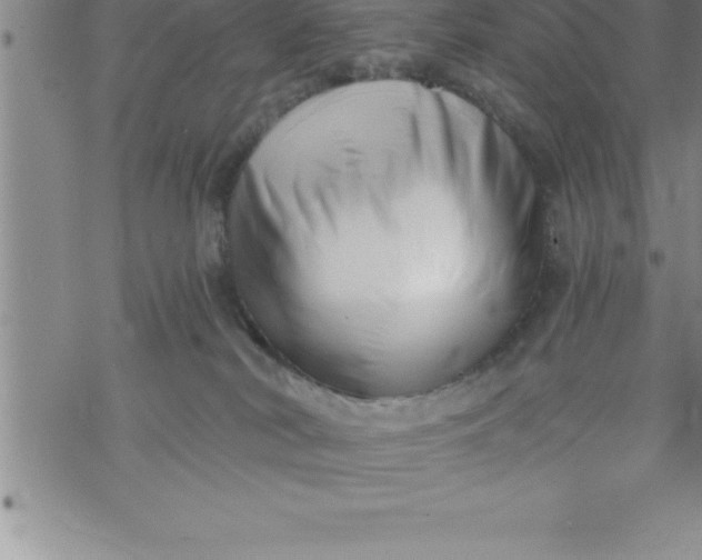 X0000069830038200606021347