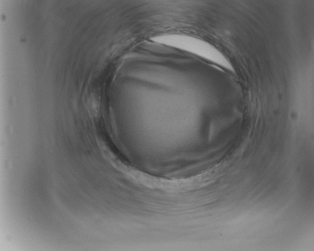 X0000069830039200606021347