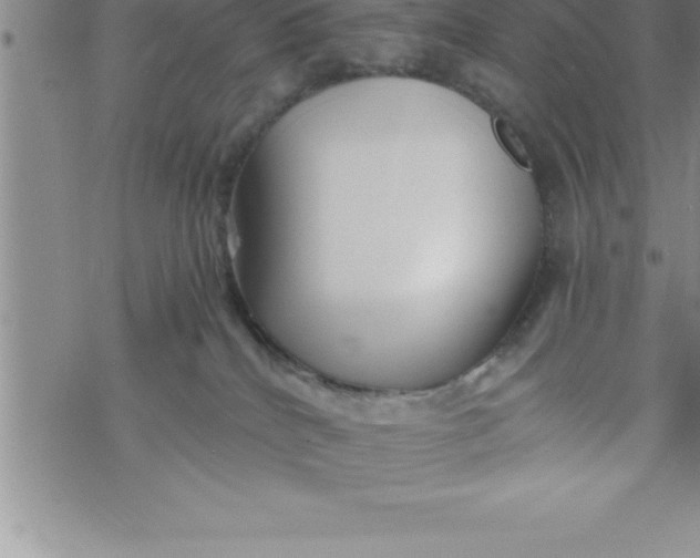 X0000069830040200606021347