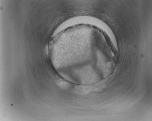 X0000069830041200606021347