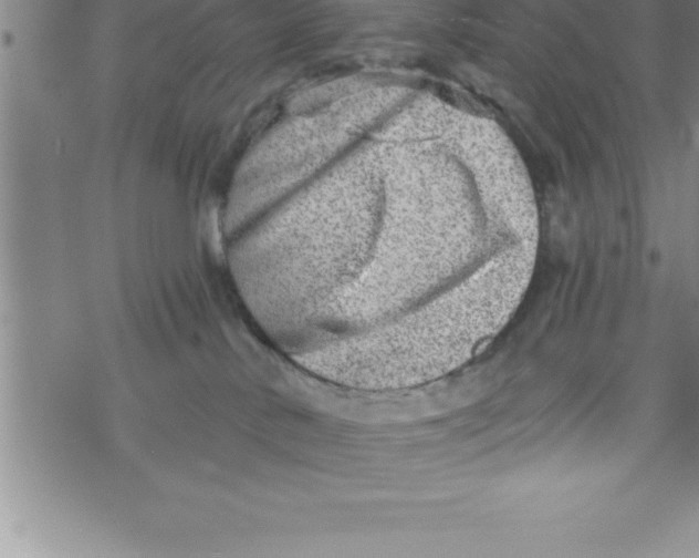 X0000069830042200606021347