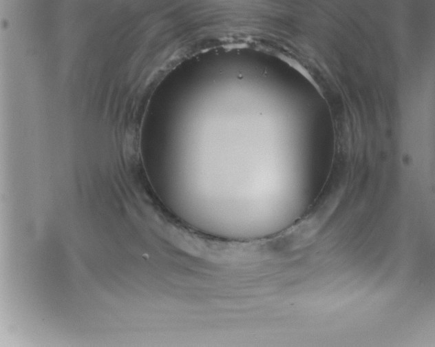 X0000069830044200606021347