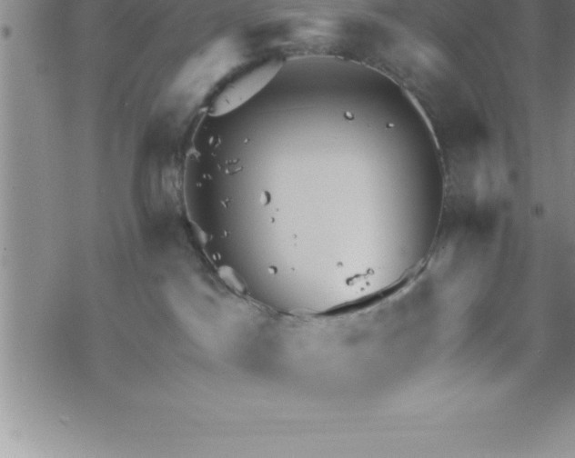 X0000069830045200606021347