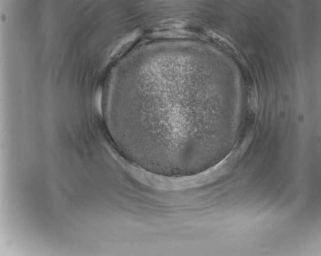 X0000069830047200606021347