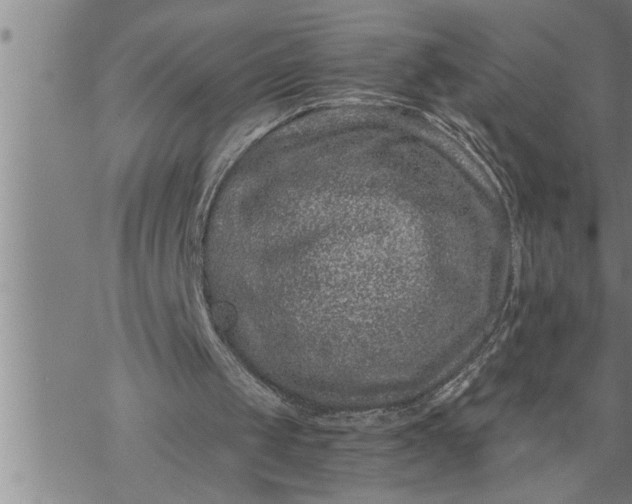 X0000069830049200606021346