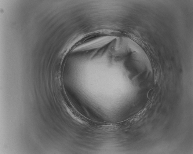 X0000069830050200606021346