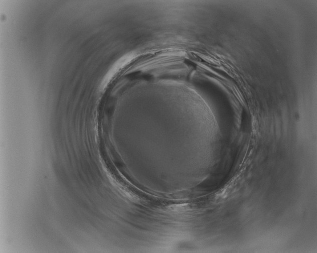 X0000069830054200606021346