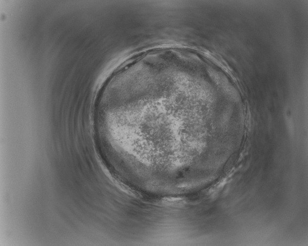 X0000069830055200606021346