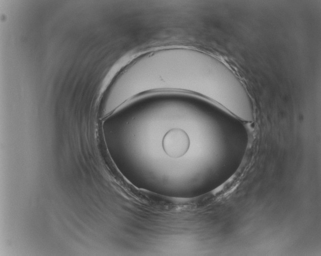 X0000069830056200606021346