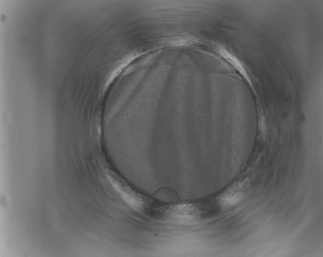 X0000069830059200606021347