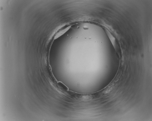 X0000069830060200606021347