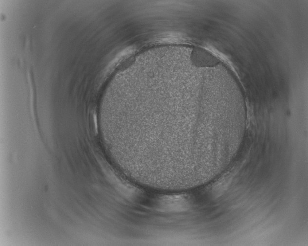 X0000069830061200606021347