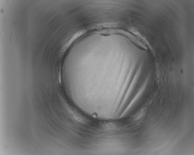 X0000069830062200606021347