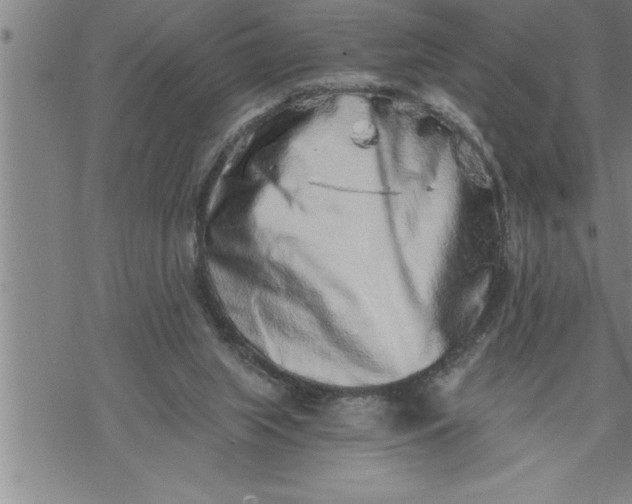 X0000069830063200606021347