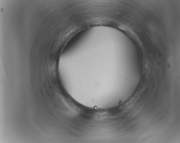 X0000069830066200606021347