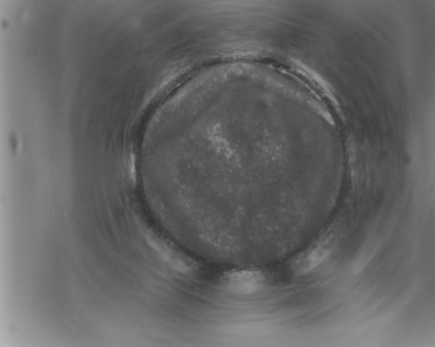 X0000069830067200606021347