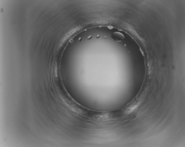 X0000069830068200606021347