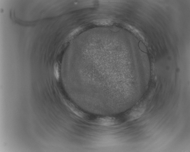 X0000069830069200606021347