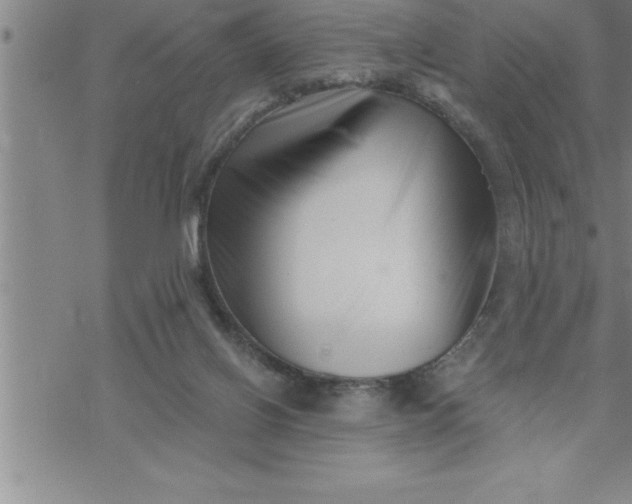 X0000069830070200606021347